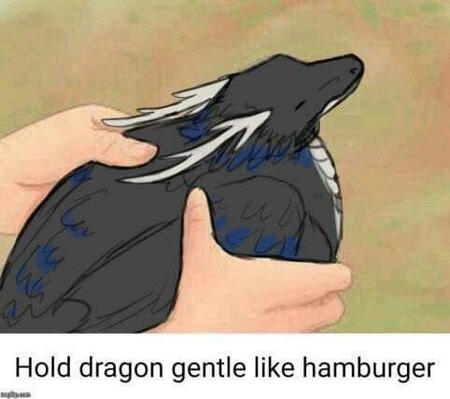Hamburgr *roblox eating sounds commence* 🍔
